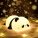 sitting-panda-led-night-lamp-sleeping-panda-lamp